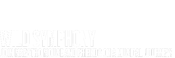 Black background with bold white text. Top text partly hidden, visible words are Wild Symphony. Below, it reads: Join Maestro Mouse and friends on a musical journey!.