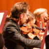 A violinist with glasses plays passionately in an orchestra, surrounded by other musicians. The ambient lighting is warm, highlighting the wooden textures of the instruments